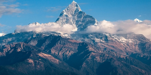 event-banner-寵物外幣活動